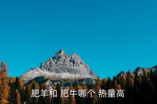 肥牛熱量,百克羊肉熱量200卡左右