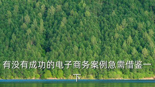 農村電商成功案例，從樂村淘成功獲得A輪融資說說你對農村電商未來的看法  問