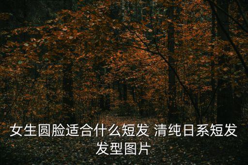 女生圓臉適合什么短發(fā) 清純日系短發(fā)發(fā)型圖片