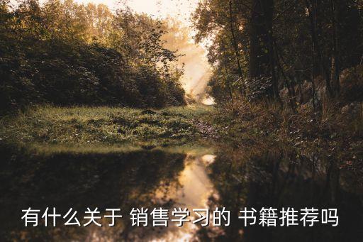 有什么關(guān)于 銷售學(xué)習(xí)的 書籍推薦嗎