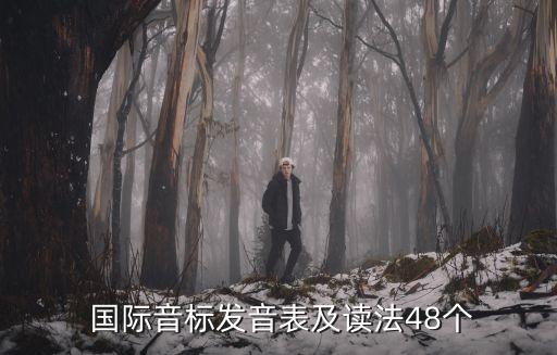 四十八個國際音標,英國國際音標發音表和標準發音方法