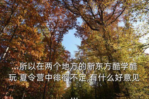 ...所以在兩個地方的新東方酷學(xué)酷玩 夏令營中徘徊不定,有什么好意見...