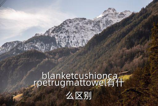blanket是什么意思,英文縮寫本逐個看地毯有何不同?