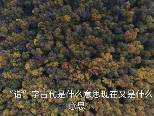 “詣”字古代是什么意思現(xiàn)在又是什么意思