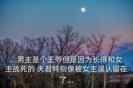 ...男主是個(gè)王爺?shù)且驗(yàn)殚L(zhǎng)得和女主戰(zhàn)死的 夫君特別像被女主誤認(rèn)留在了...