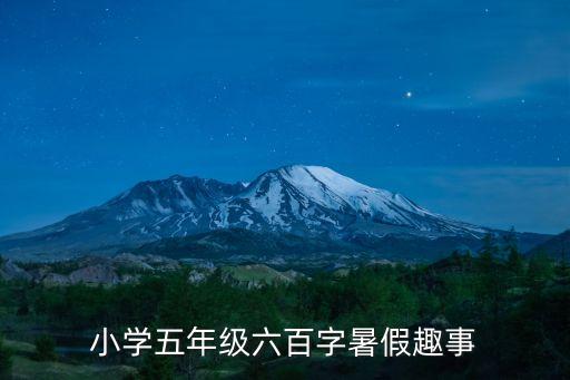 小學五年級六百字暑假趣事