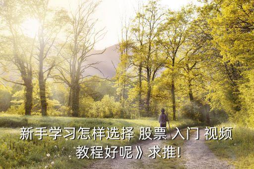 新手學習怎樣選擇 股票 入門 視頻 教程好呢》求推!