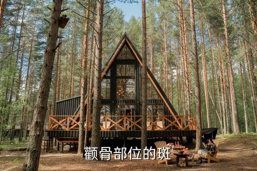 顴骨長斑，顴骨部位的斑