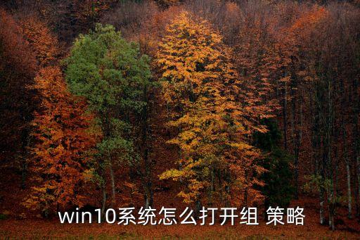  win10系統怎么打開組 策略