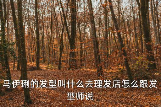 馬伊琍的發型叫什么去理發店怎么跟發型師說