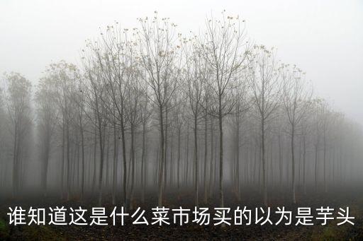 毛芋頭圖片，誰知道這是什么菜市場買的以為是芋頭
