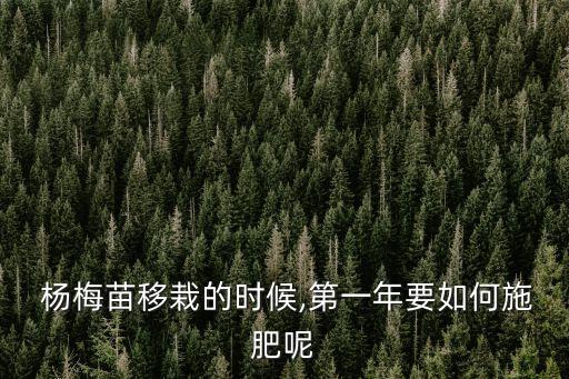 楊梅苗,栽培時間選擇好楊梅苗后期管理也很重要