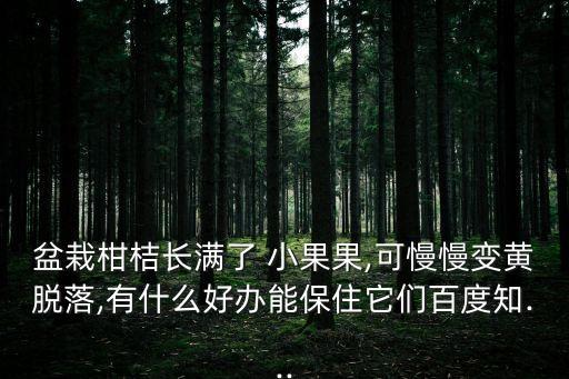 盆栽柑桔長滿了 小果果,可慢慢變黃脫落,有什么好辦能保住它們百度知...