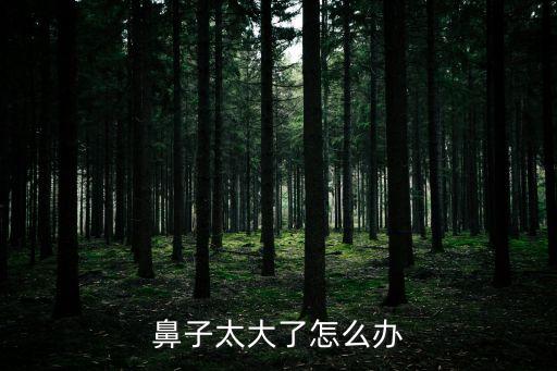 鼻子太大了怎么辦