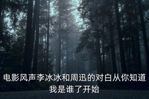 風(fēng)聲臺(tái)詞，電影風(fēng)聲李冰冰和周迅的對白從你知道我是誰了開始