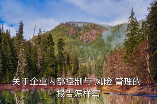 風險管理報告,風險管理是一個過程