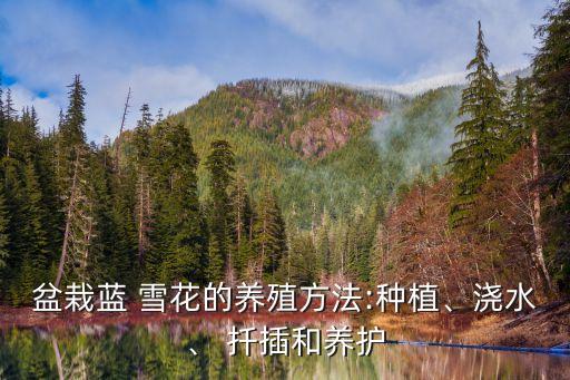 藍雪花扦插,藍色雪花怎么養成?