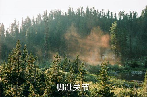 腳趾關節