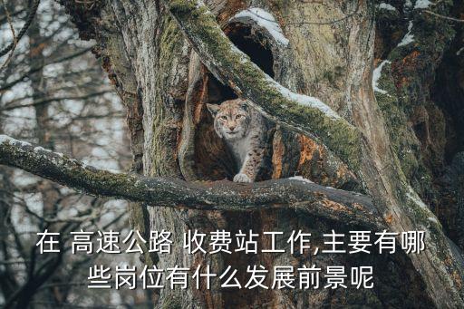 高速公路收費站,高速封閉收費是指上下車都要收相同費用