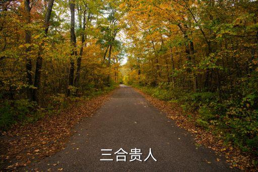三合貴人什么意思，三合貴人是什么意思