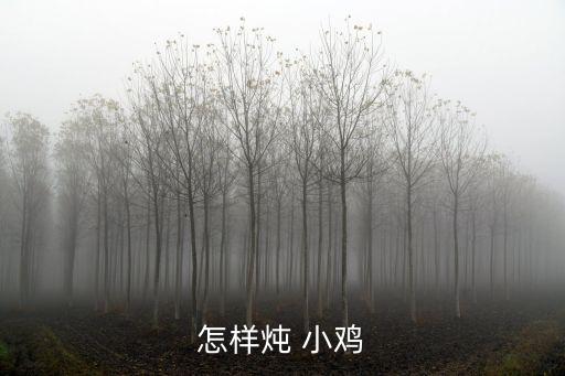 小雞怎么燉好吃,武漢火鍋雞湯怎么做好吃的