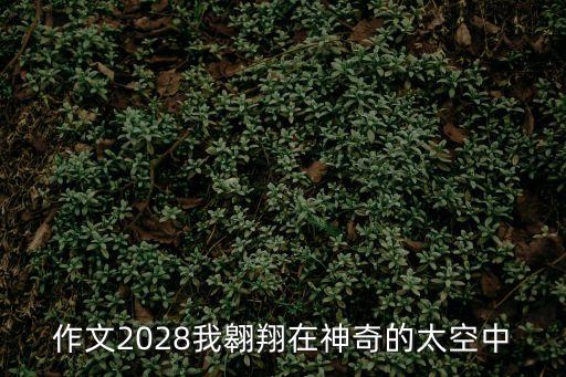 作文2028我翱翔在神奇的太空中