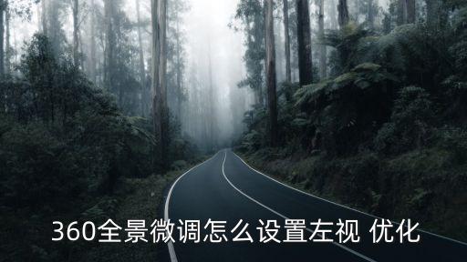 360優(yōu)化,360全景微調(diào)設(shè)置左視圖步驟:1.點擊設(shè)置按鈕