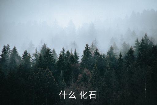 什么的化石,地殼巖石中的古生物遺骸或遺跡稱為化石