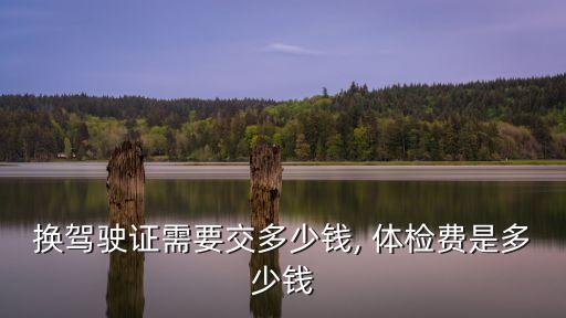 換駕駛證需要交多少錢, 體檢費是多少錢