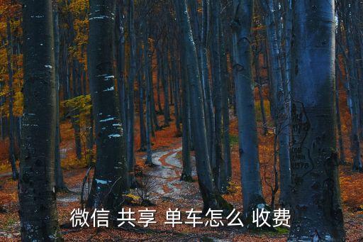 微信 共享 單車怎么 收費(fèi)