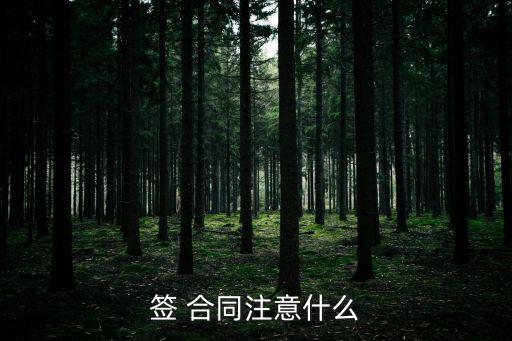簽 合同注意什么