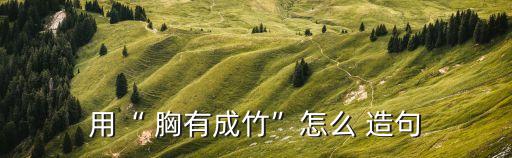 用胸有成竹造句,小武胸有成竹:考完試就放心了!