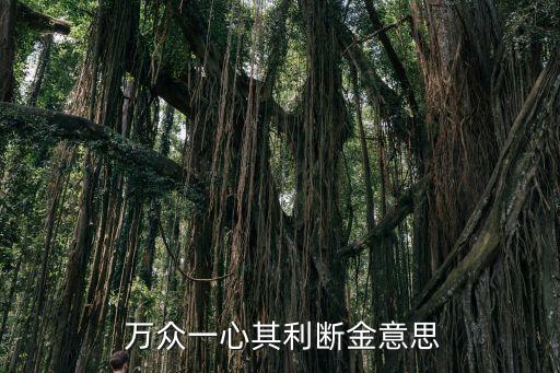 萬眾一心的意思,眾眾一心，其利斷金形容人民團結一心