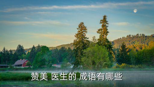 贊美 醫生的 成語有哪些