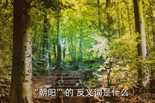 “朝陽”的 反義詞是什么