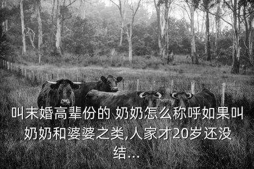叫末婚高輩份的 奶奶怎么稱呼如果叫 奶奶和婆婆之類,人家才20歲還沒結...