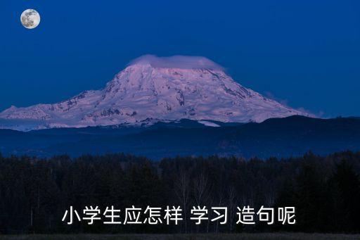 小學(xué)生應(yīng)怎樣 學(xué)習(xí) 造句呢