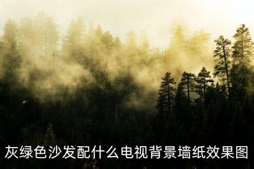 灰綠色沙發(fā)配什么電視背景墻紙效果圖