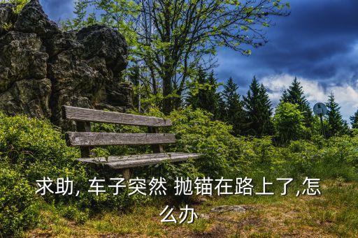 車子拋錨,高速公路上突然拋錨!立即打開雙閃!