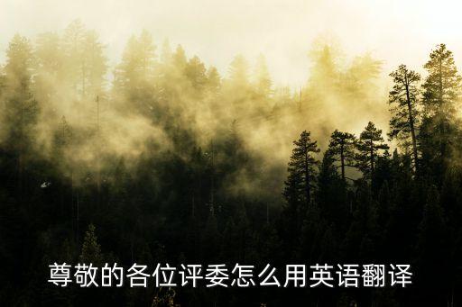 尊敬的各位評委怎么用英語翻譯