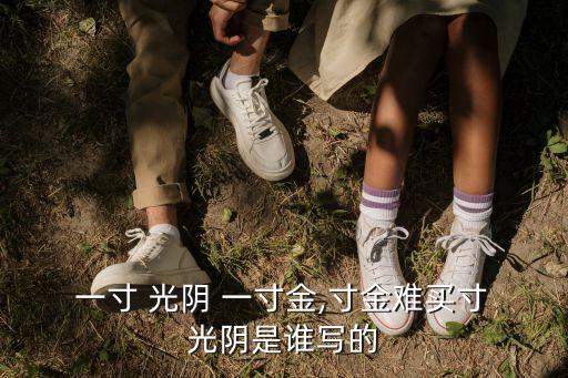  一寸 光陰 一寸金,寸金難買寸 光陰是誰寫的