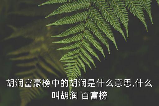 胡潤富豪榜中的胡潤是什么意思,什么叫胡潤 百富榜