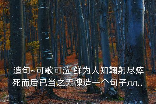  造句~可歌可泣 鮮為人知鞠躬盡瘁死而后已當之無愧造一個句子лл...