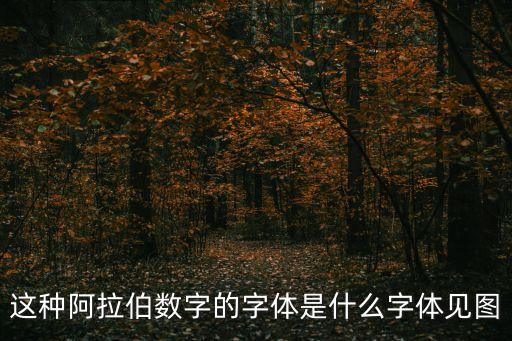這種阿拉伯數字的字體是什么字體見圖