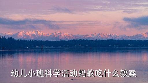 幼兒科學活動，幼兒小班科學活動螞蟻吃什么教案