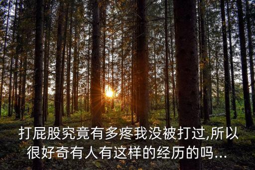  打屁股究竟有多疼我沒被打過,所以很好奇有人有這樣的經歷的嗎...