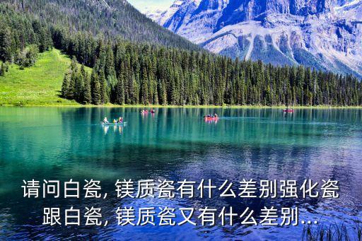 請問白瓷, 鎂質瓷有什么差別強化瓷跟白瓷, 鎂質瓷又有什么差別...