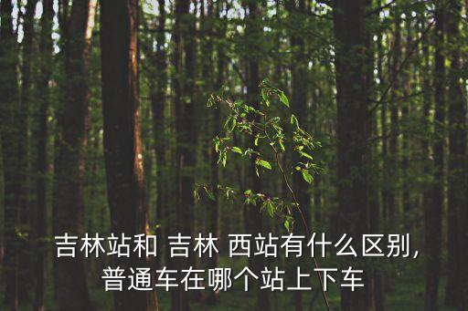 吉林西站,吉林西站不可調和哈爾濱相提并論