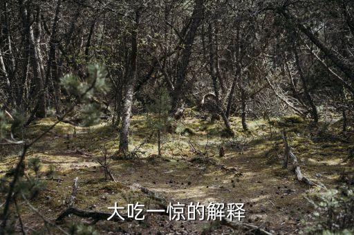 大吃一驚的意思，大吃一驚的解釋