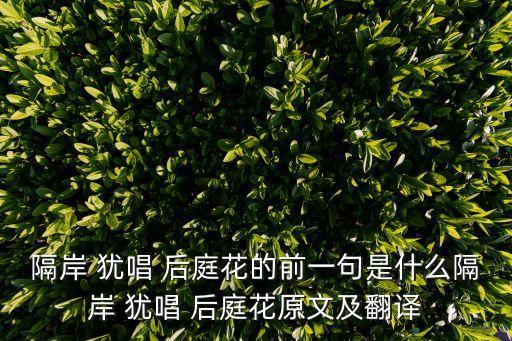 猶唱后庭花,對面猶唱后庭花